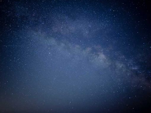 A mass of life – Frederick Delius and Nietzsche’s masterpiece