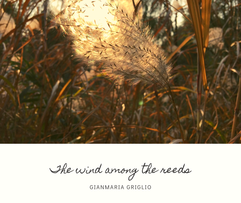 The wind among the reeds [audio]