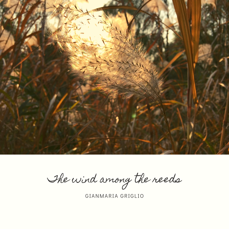 The wind among the reeds [audio]
