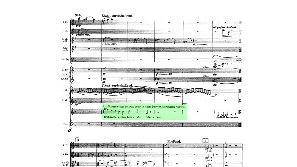 Mahler - Das Lied von der Erde - mov.2 ex.2