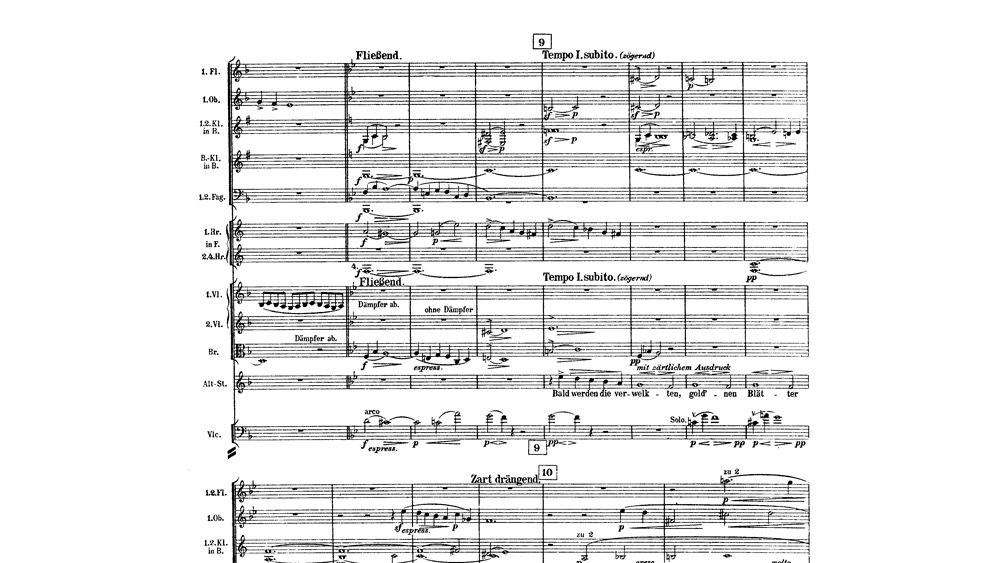 Mahler - Das Lied von der Erde - mov.2 ex.3
