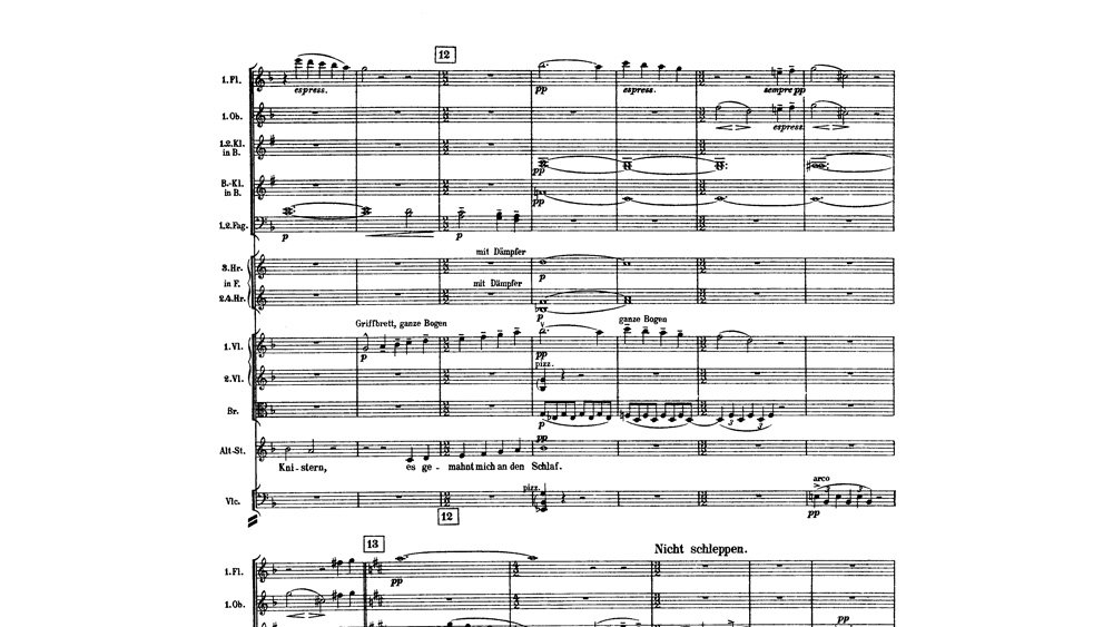Mahler - Das Lied von der Erde - mov.2 ex.8