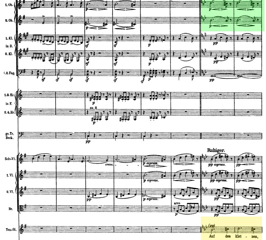Mahler - Das Lied von der Erde - mov.3 ex.7