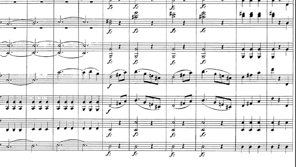 Schubert - Symphony n.5 - mov.3 ex.4