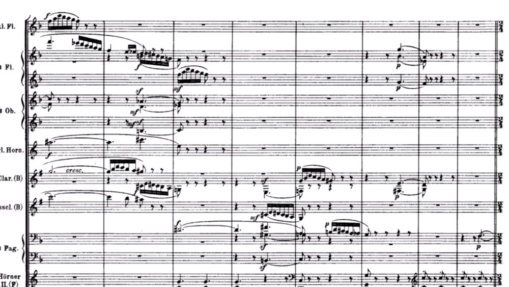 Richard Strauss Till Eulenspiegel ex 19