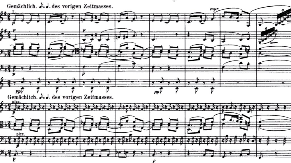 Richard Strauss Till Eulenspiegel ex 20