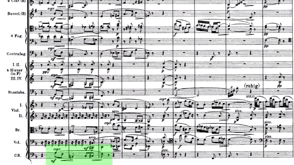Richard Strauss Till Eulenspiegel ex 21