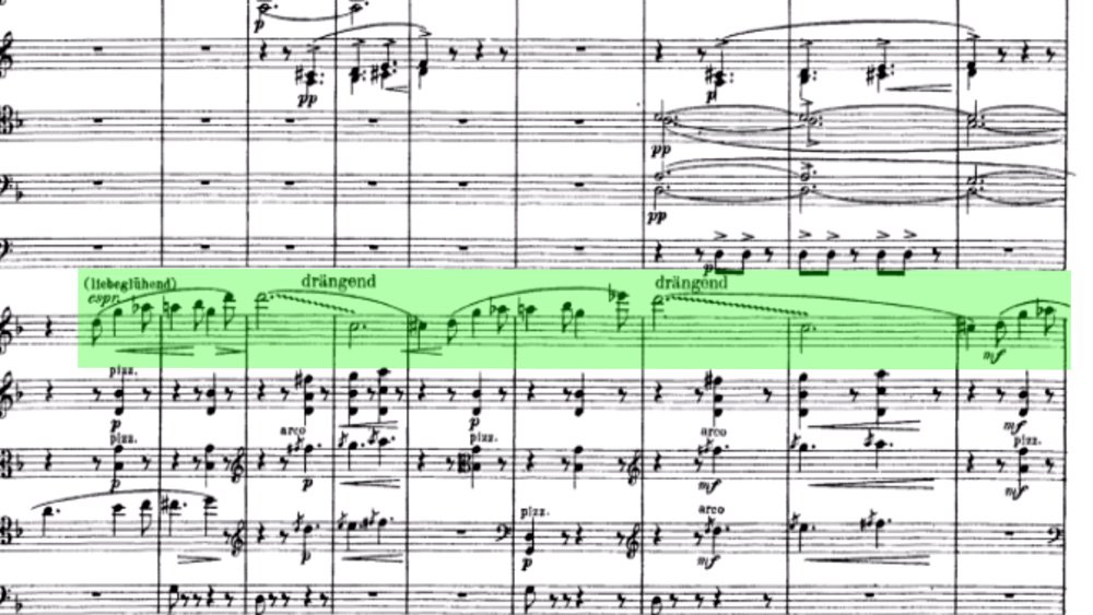 Richard Strauss Till Eulenspiegel ex 26