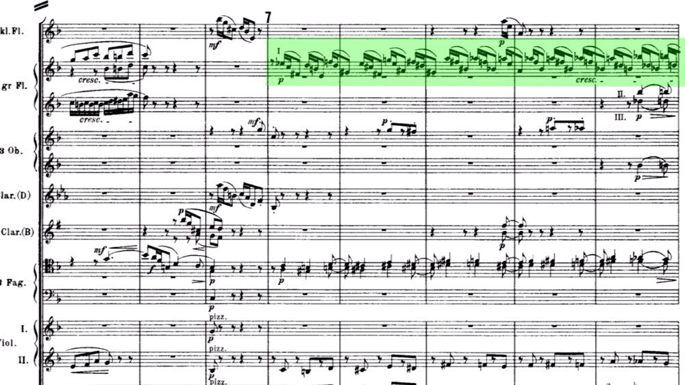 Richard Strauss Till Eulenspiegel ex 9