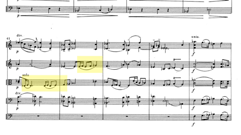 Mieczysław Karłowicz - Serenade for strings mov.1 ex.5